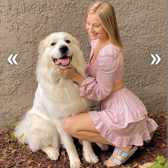 Princess Polly The Susanna Set in Blush size 6 - Picture 5 of 8